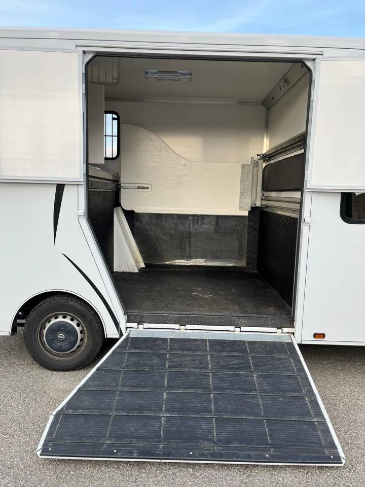 Van per Cavalli Opel Movano - Cavalcar 2020 Occasione