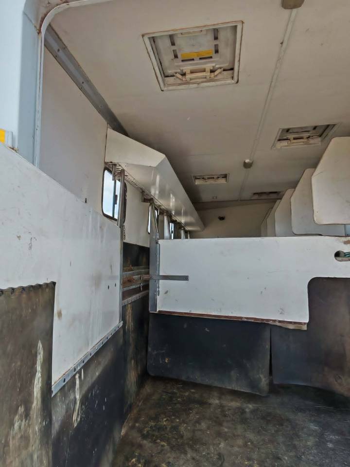 Camion per Cavalli Renault RENAULT PREMIUM 1999 Occasione