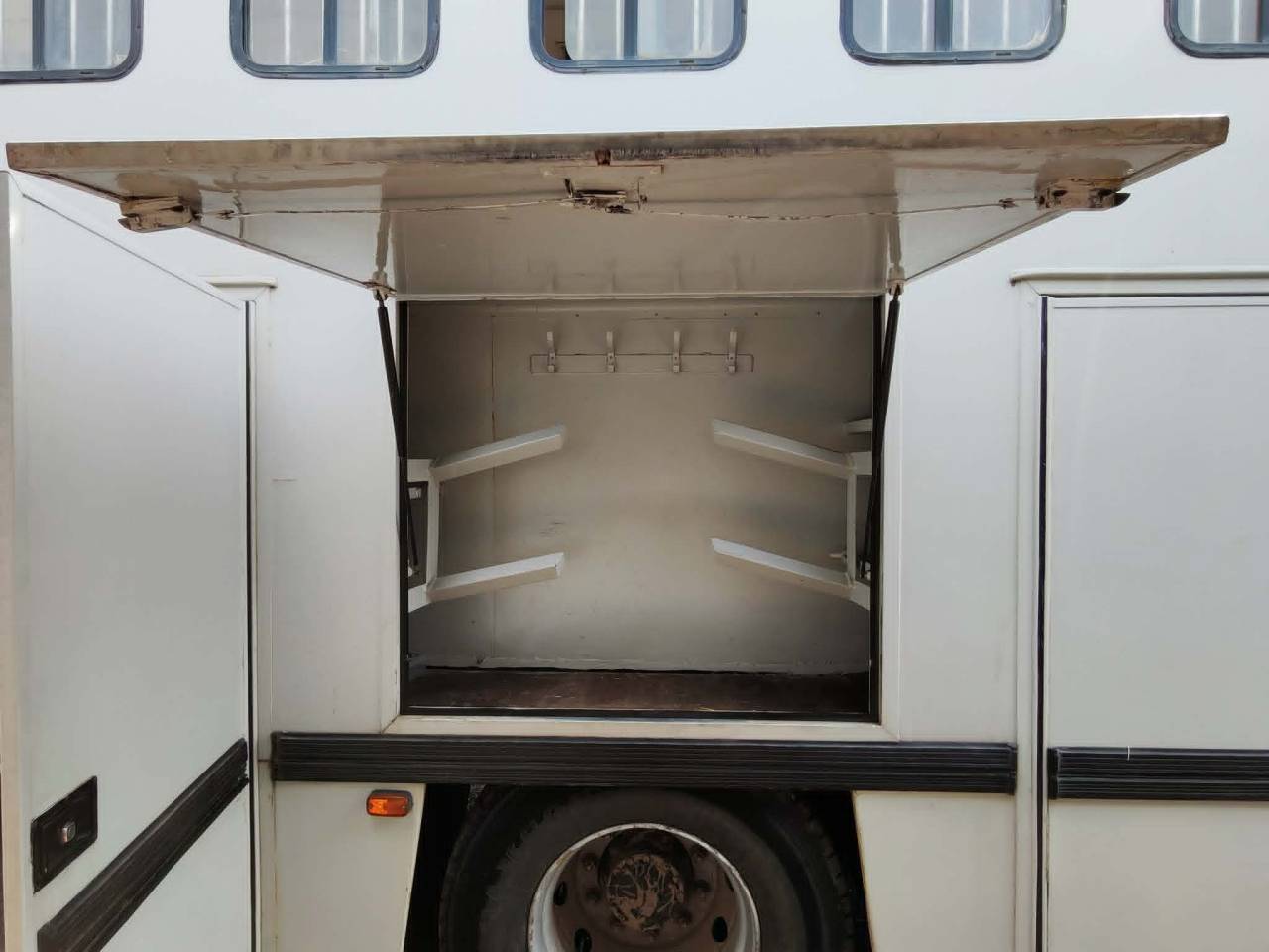 Camion per Cavalli Renault RENAULT PREMIUM 1999 Occasione
