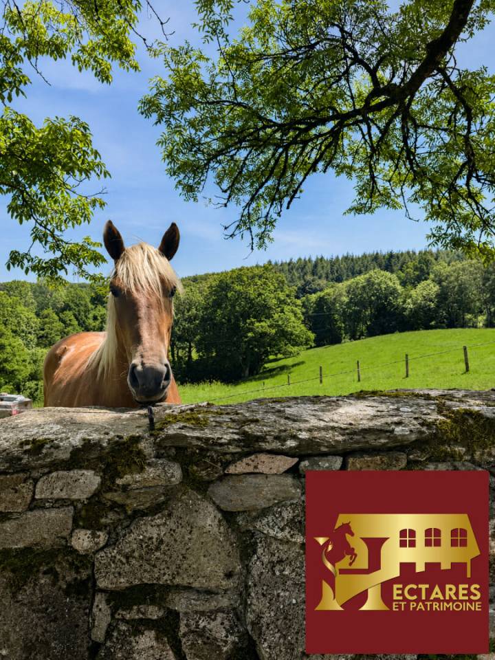 Alloggio equestre In vendita Lot