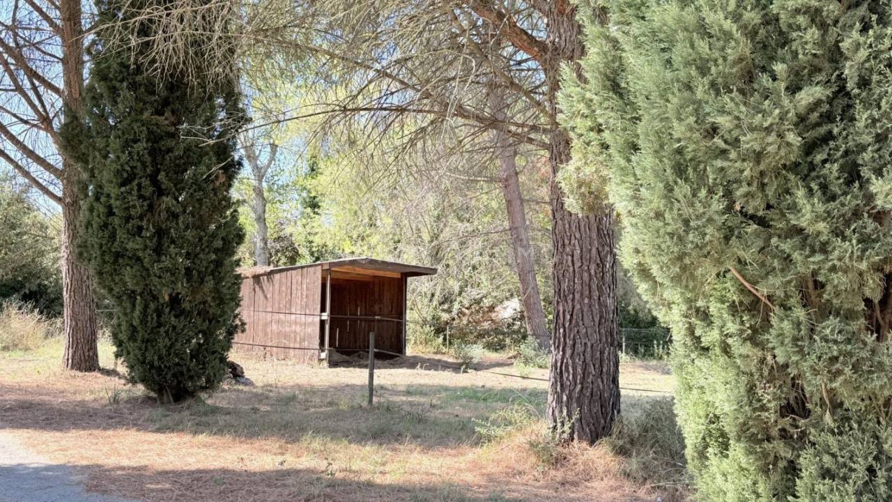 Propriet&agrave; equestre In vendita H&eacute;rault