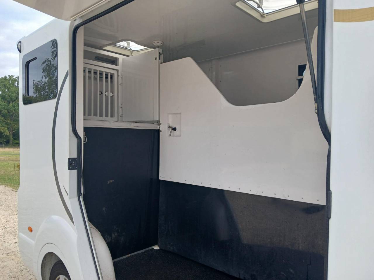 Van per Cavalli Barbot Renault master 2021 Occasione