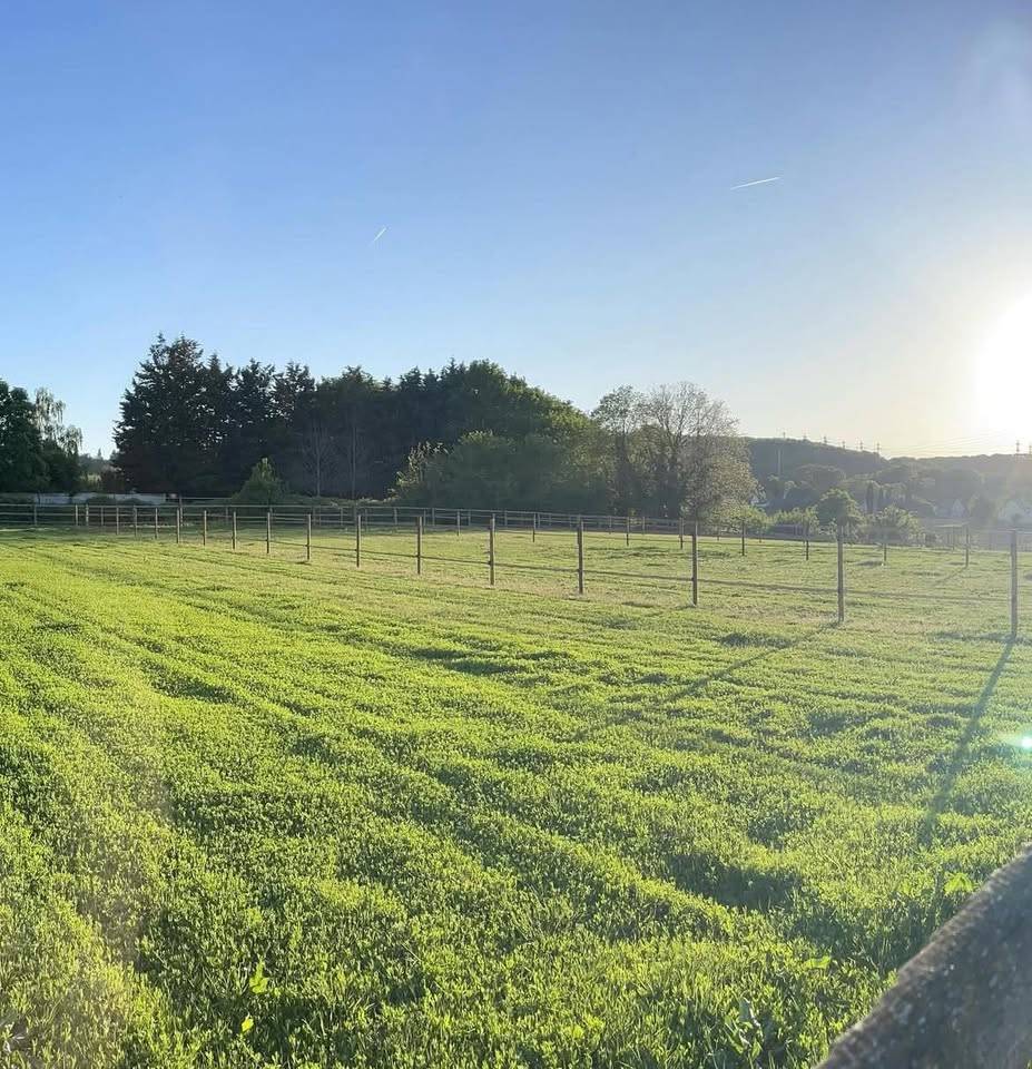 Propriet&agrave; equestre In vendita Essonne