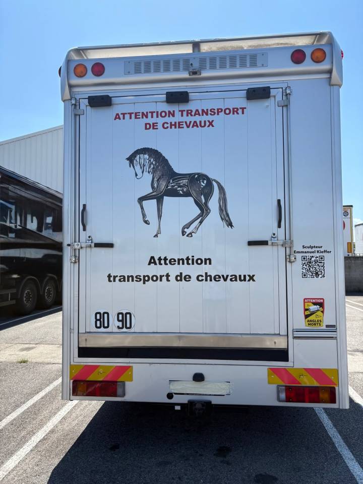 Camion per Cavalli Man 12224 2000 Occasione