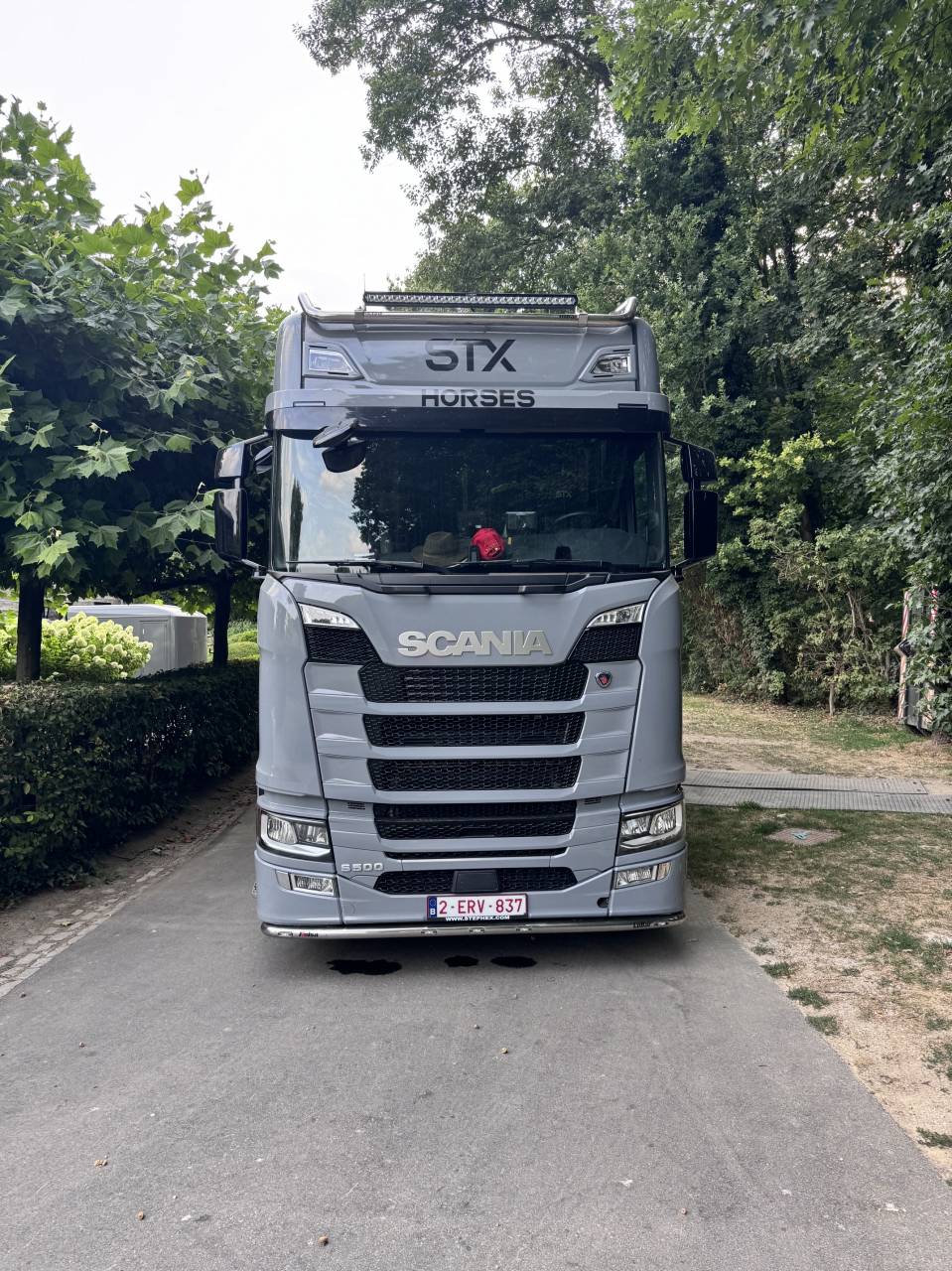 Camion per Cavalli Scania S510 2023 Occasione