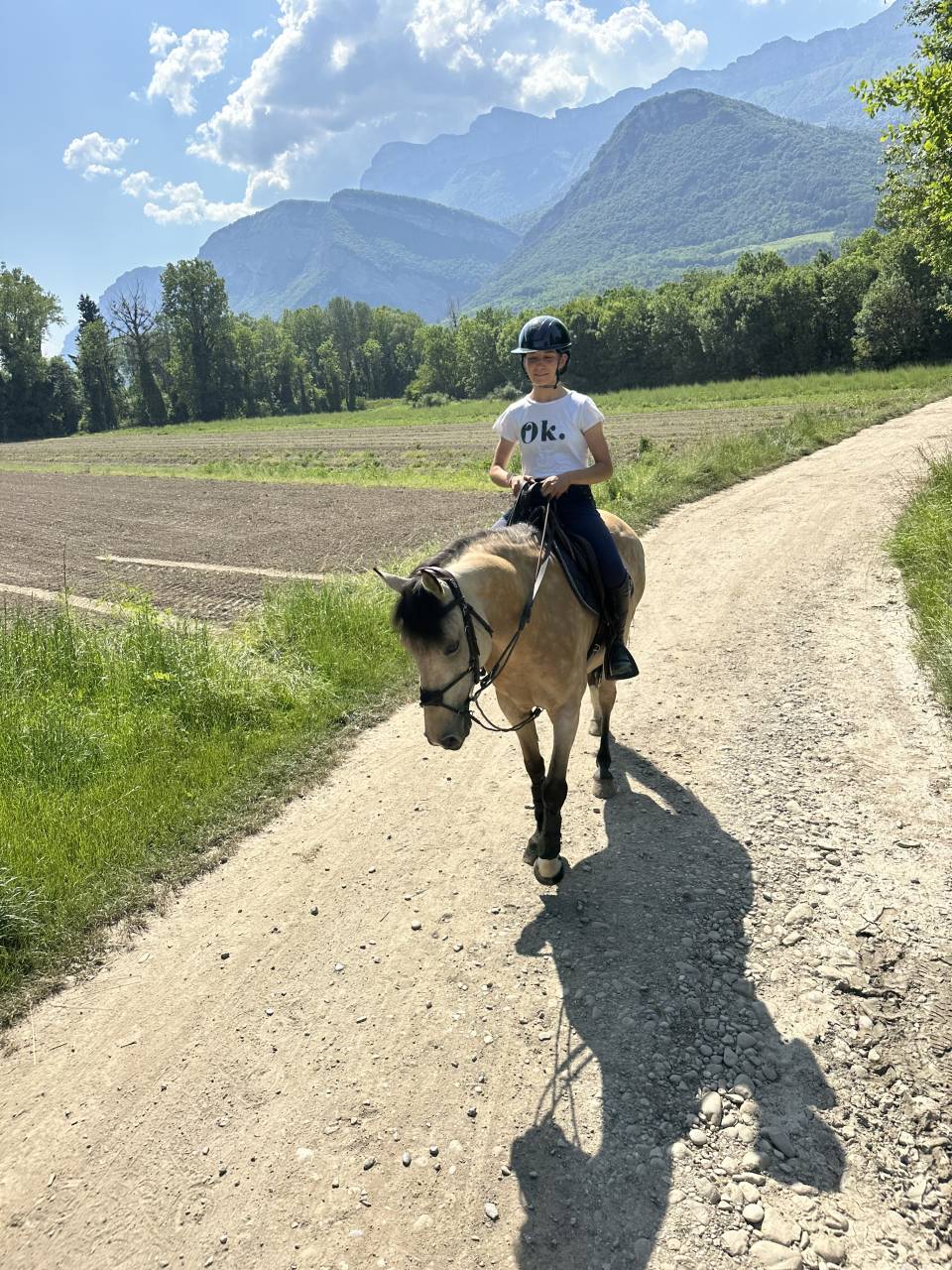 Cavalla PFS Pony Francese da Sella In vendita 2014 Isabella