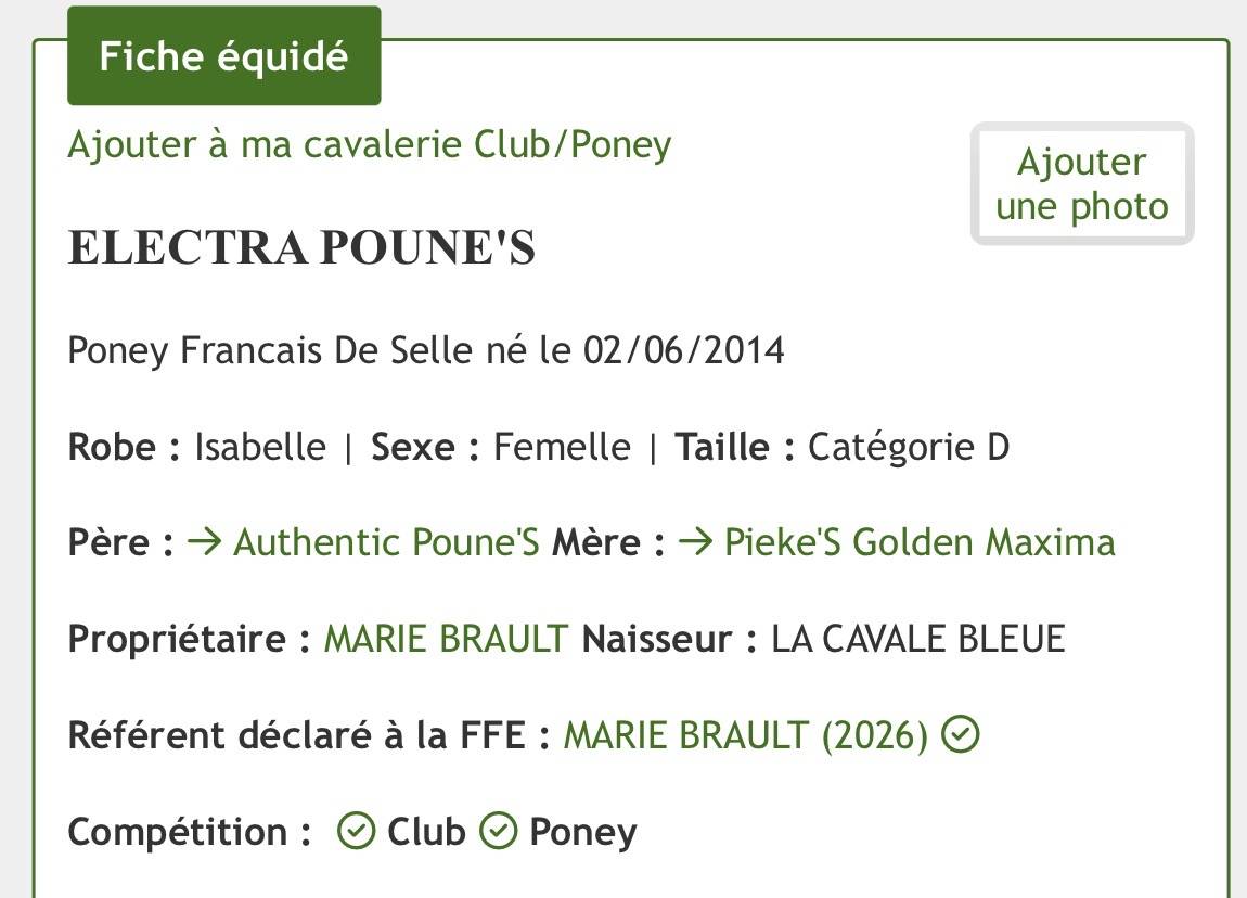 Cavalla PFS Pony Francese da Sella In vendita 2014 Isabella