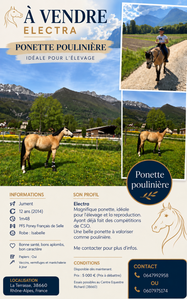 Cavalla PFS Pony Francese da Sella In vendita 2014 Isabella