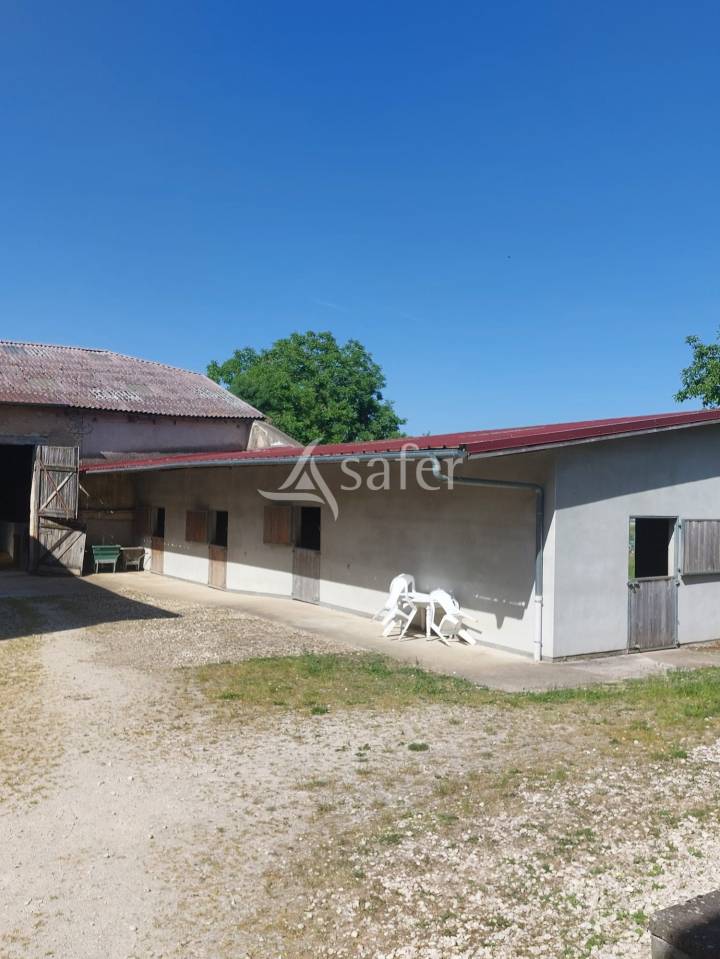 Propriet&agrave; equestre In vendita Meuse