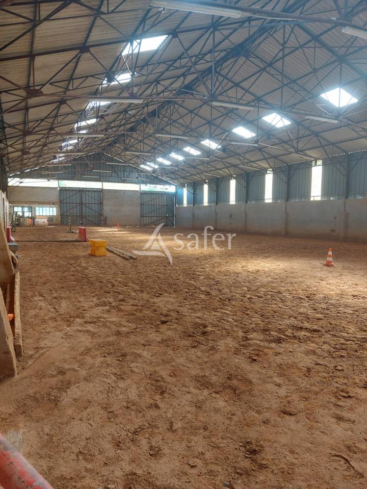 Propriet&agrave; equestre In vendita Meuse