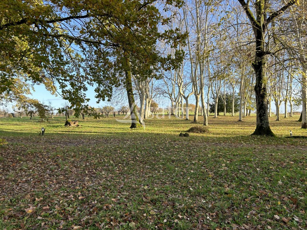 Azienda agricola In vendita Lot-et-Garonne