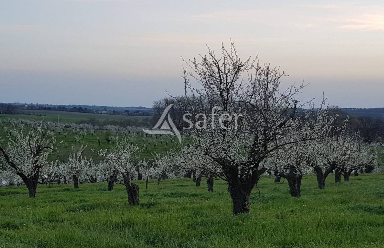 Azienda agricola In vendita Lot-et-Garonne