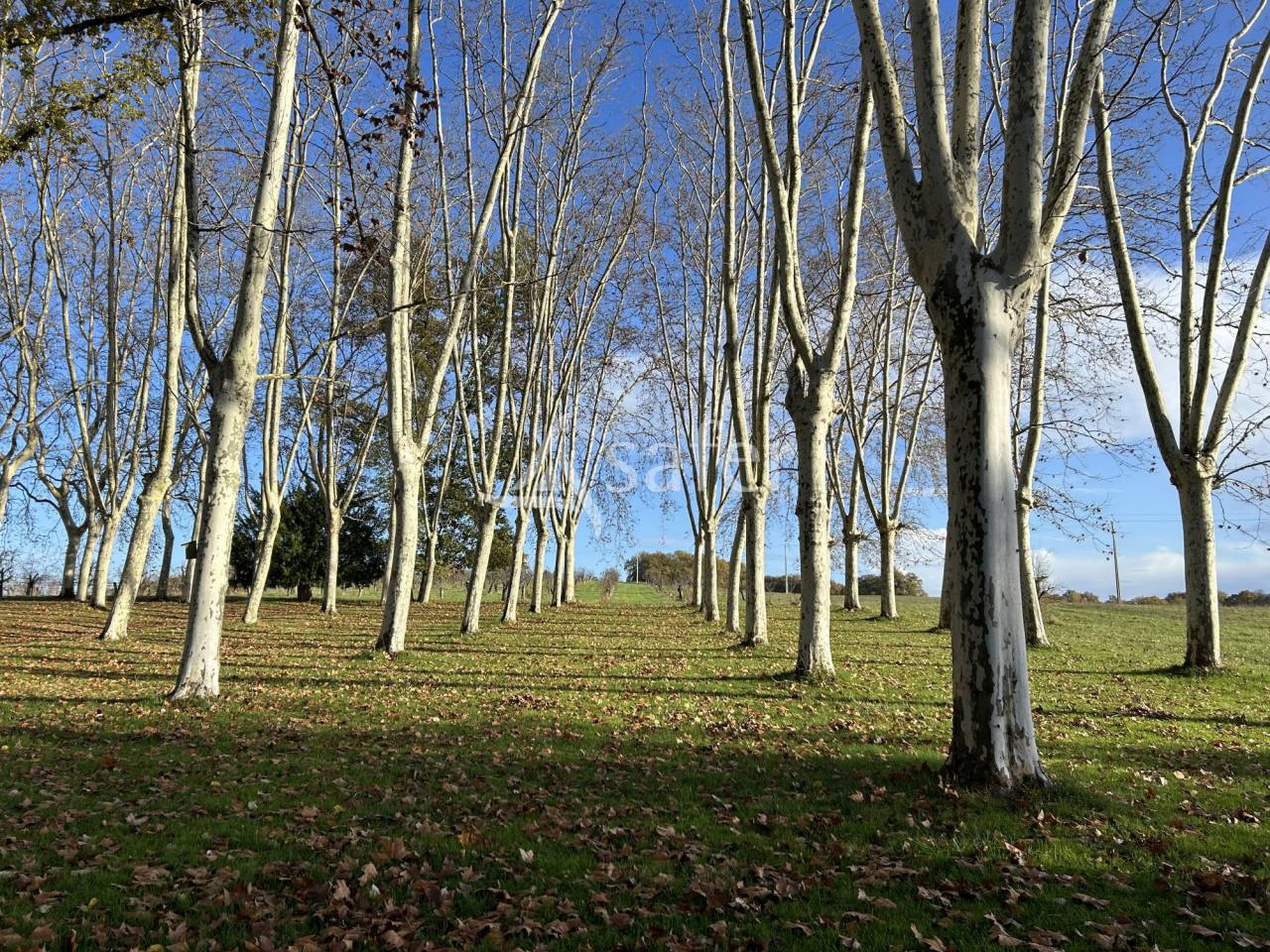 Azienda agricola In vendita Lot-et-Garonne