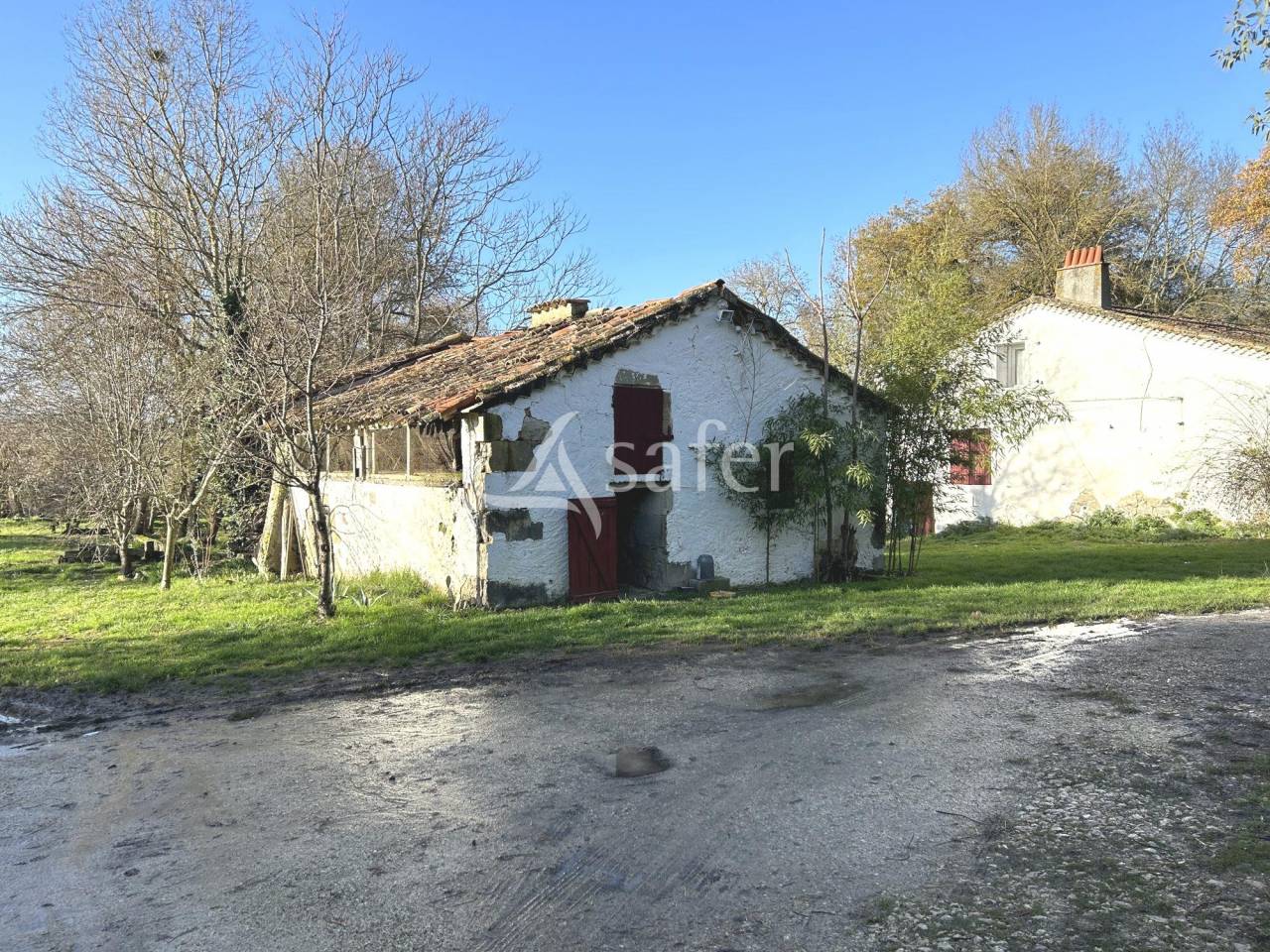 Azienda agricola In vendita Lot-et-Garonne