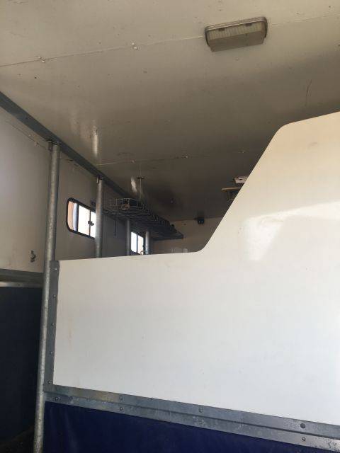 Camion per Cavalli Renault Renault&nbsp;M 230 TI - 17CV 1996 Occasione