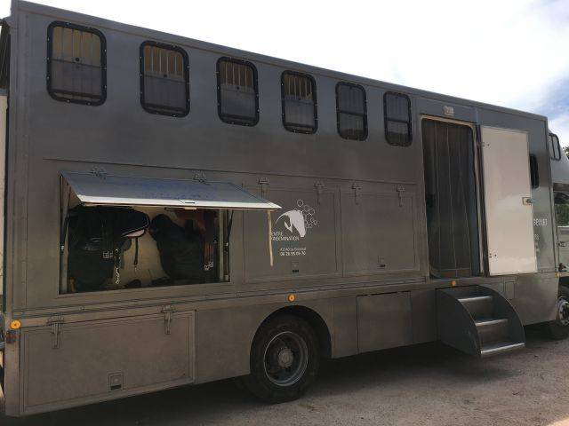 Camion per Cavalli Renault Renault&nbsp;M 230 TI - 17CV 1996 Occasione