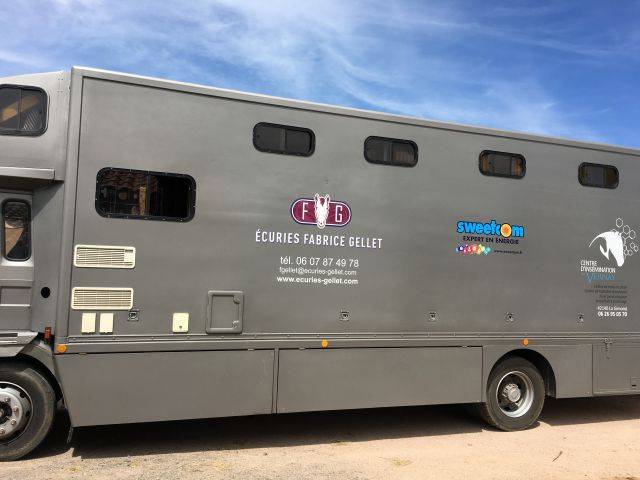 Camion per Cavalli Renault Renault&nbsp;M 230 TI - 17CV 1996 Occasione
