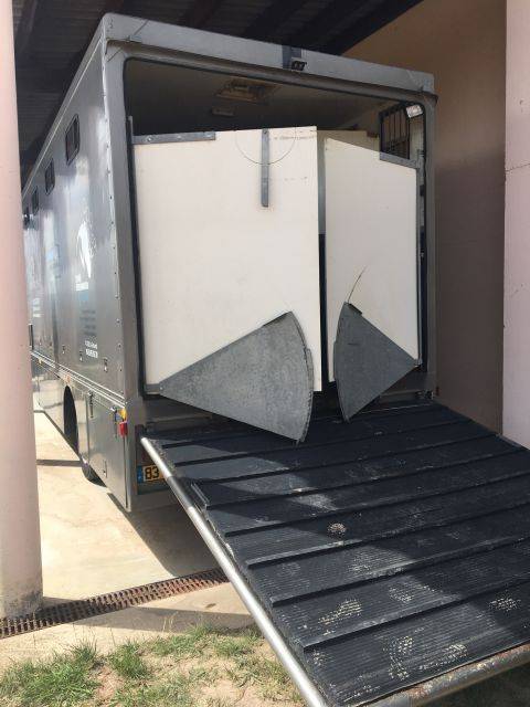 Camion per Cavalli Renault Renault&nbsp;M 230 TI - 17CV 1996 Occasione