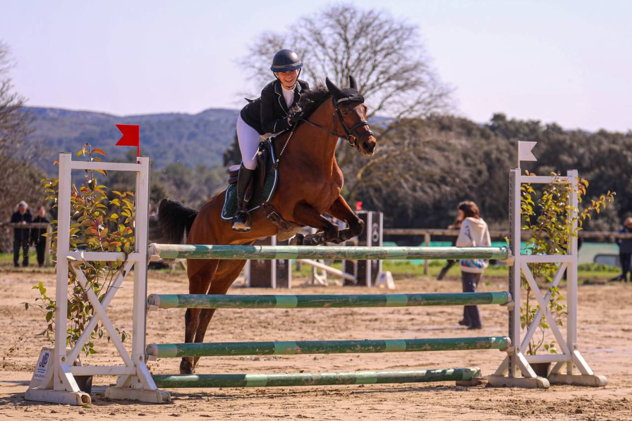 Cavalla PFS Pony Francese da Sella In vendita 2013 Baio ,  SCENDIX