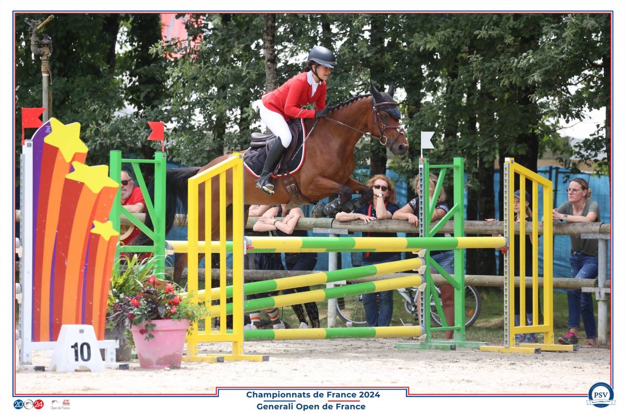 Cavalla PFS Pony Francese da Sella In vendita 2013 Baio ,  SCENDIX