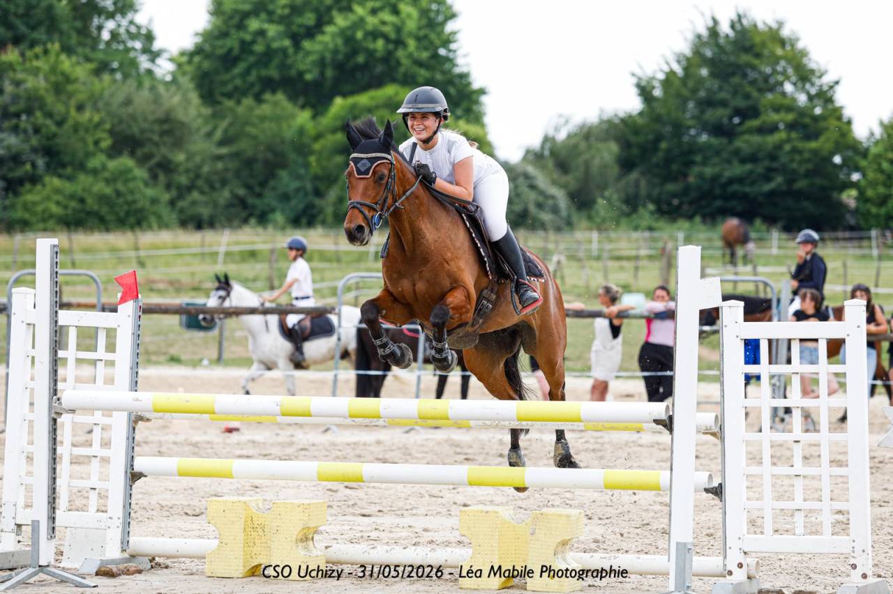 Cavalla PFS Pony Francese da Sella In vendita 2013 Baio ,  SCENDIX