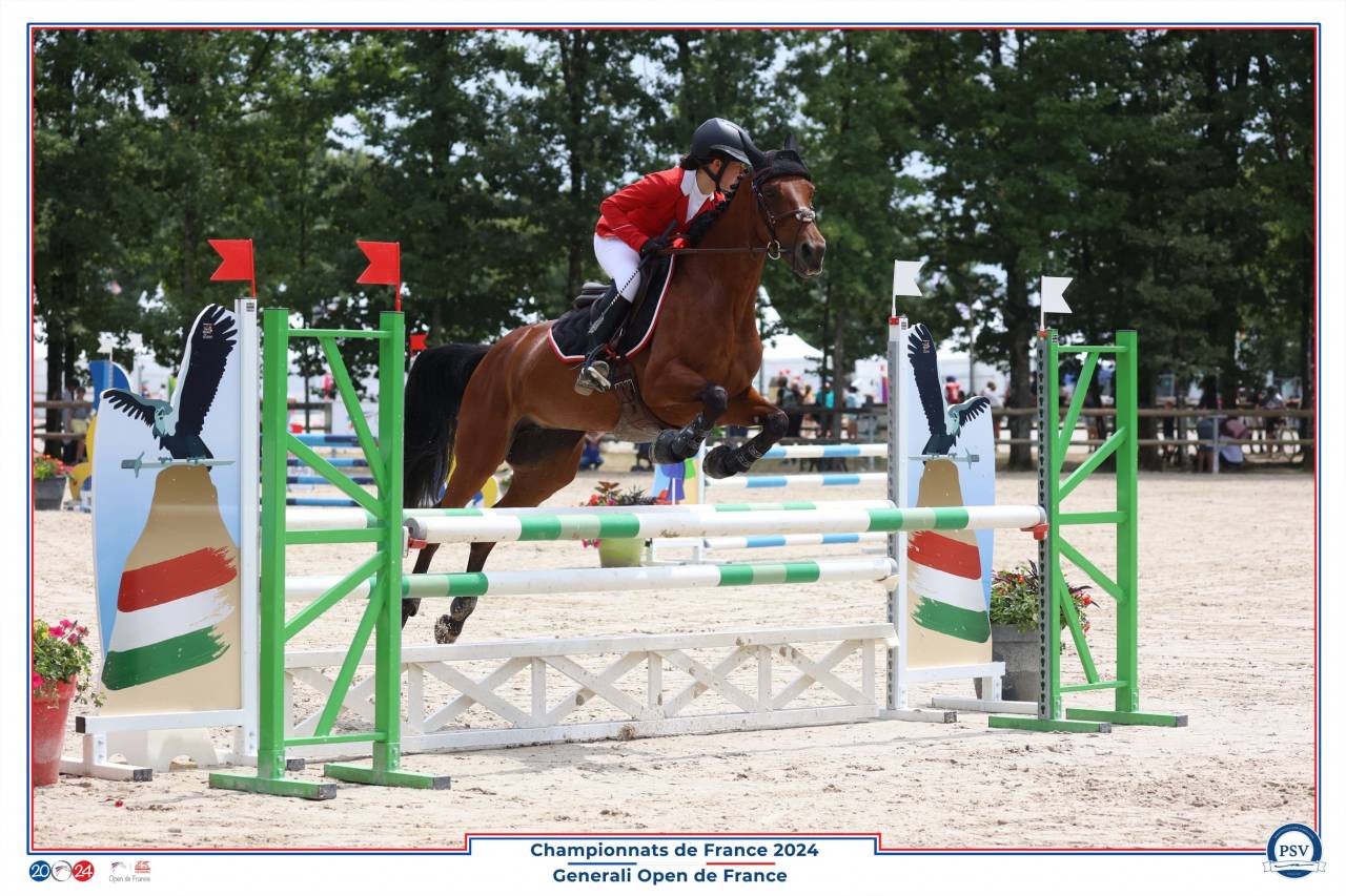 Cavalla PFS Pony Francese da Sella In vendita 2013 Baio ,  SCENDIX