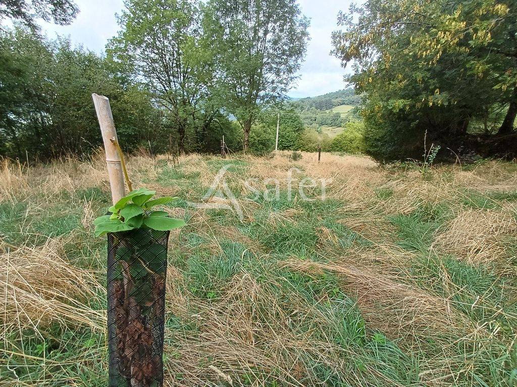 Azienda agricola In vendita Corr&egrave;ze