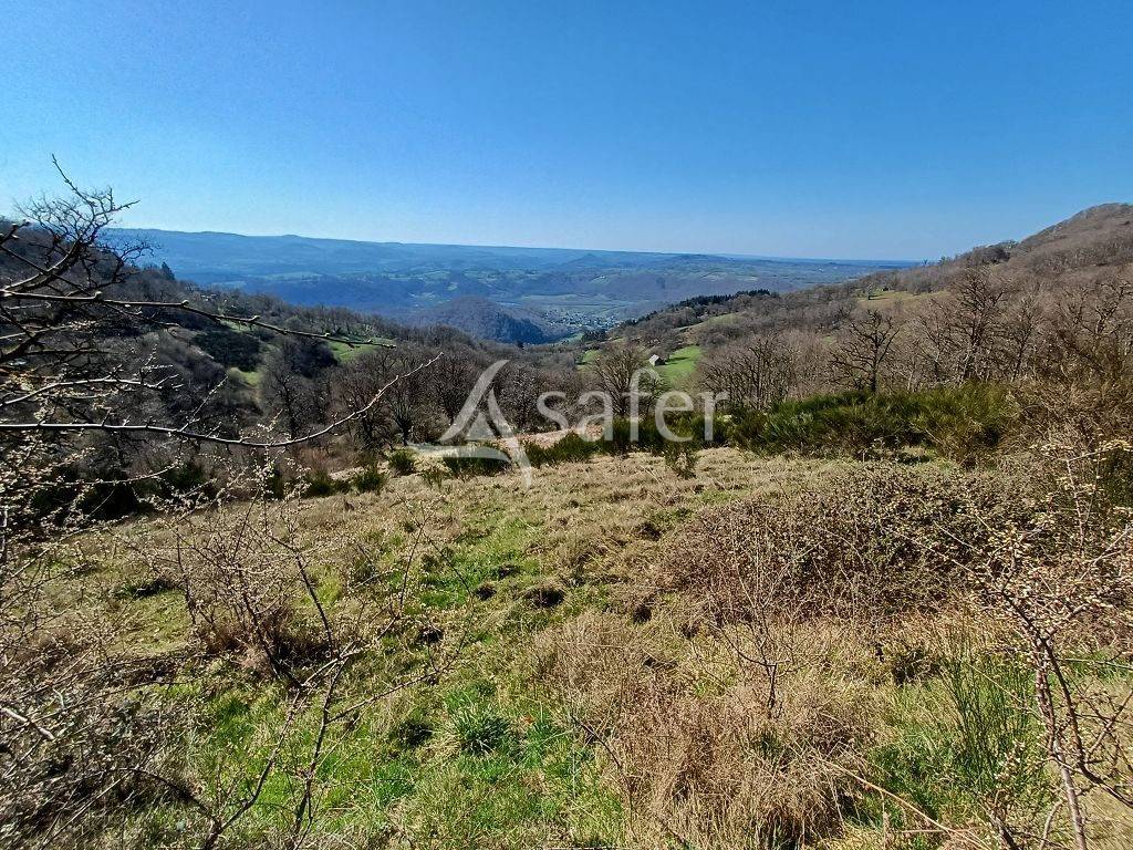 Azienda agricola In vendita Corr&egrave;ze