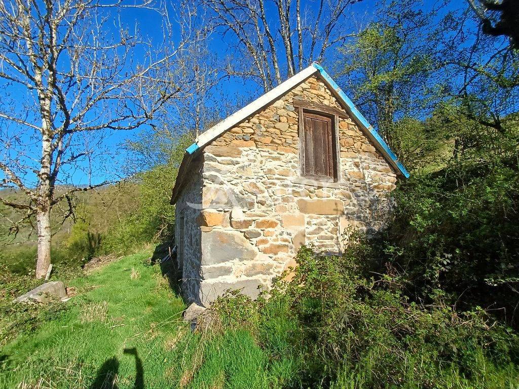 Azienda agricola In vendita Corr&egrave;ze