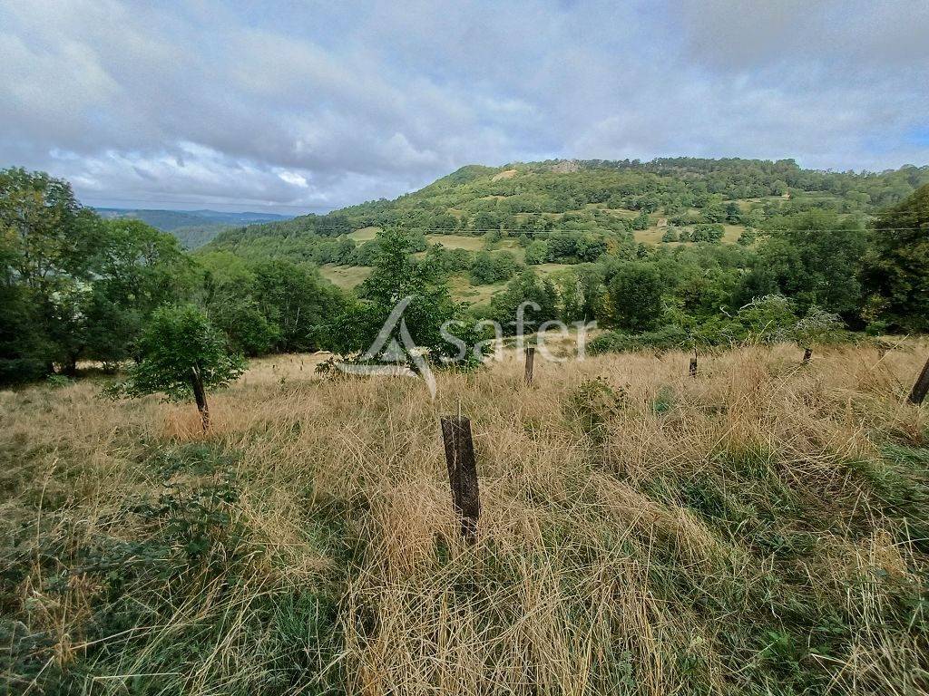 Azienda agricola In vendita Corr&egrave;ze
