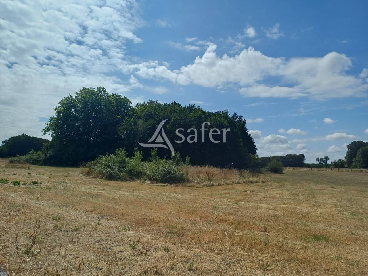 Azienda agricola In vendita Charente-Maritime