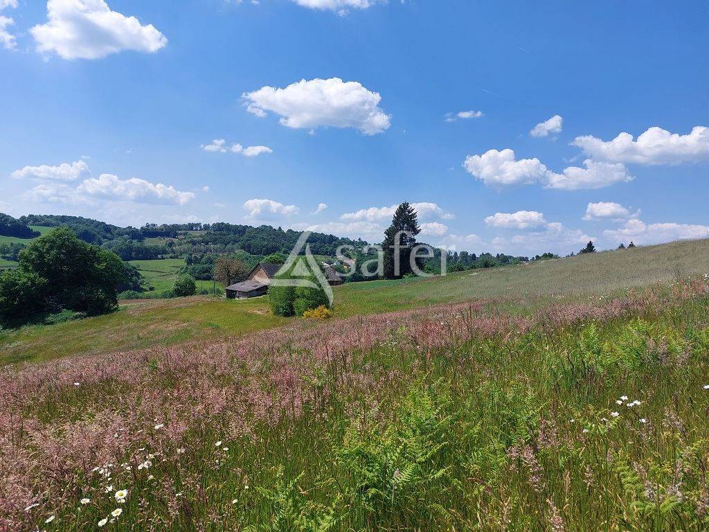 Propriet&agrave; rurale In vendita Corr&egrave;ze