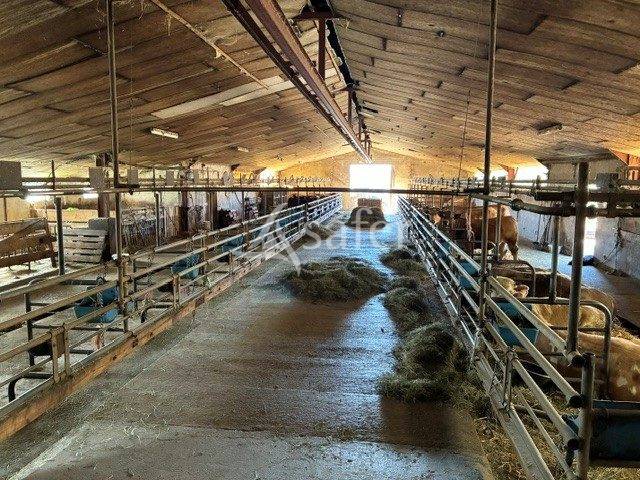 Azienda ovina In vendita Jura