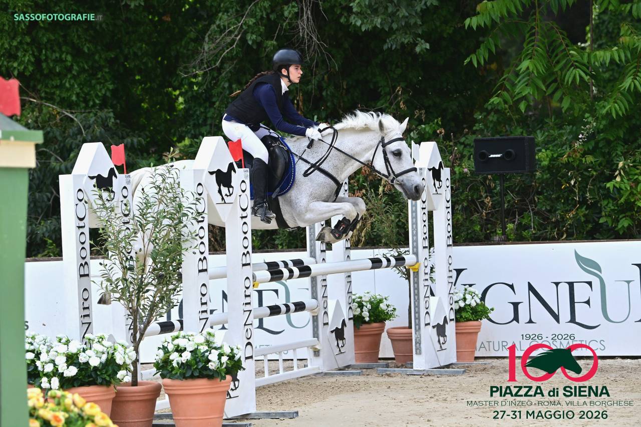 Pony Schoolmaster 