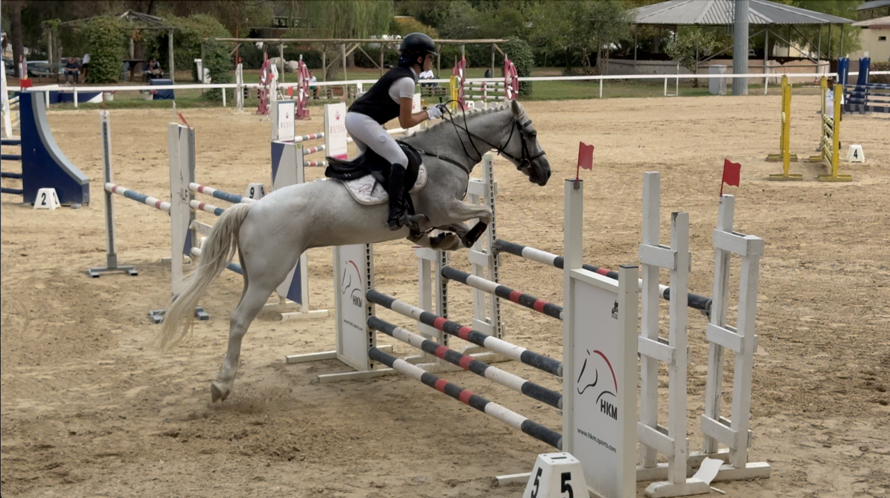 Pony Schoolmaster 