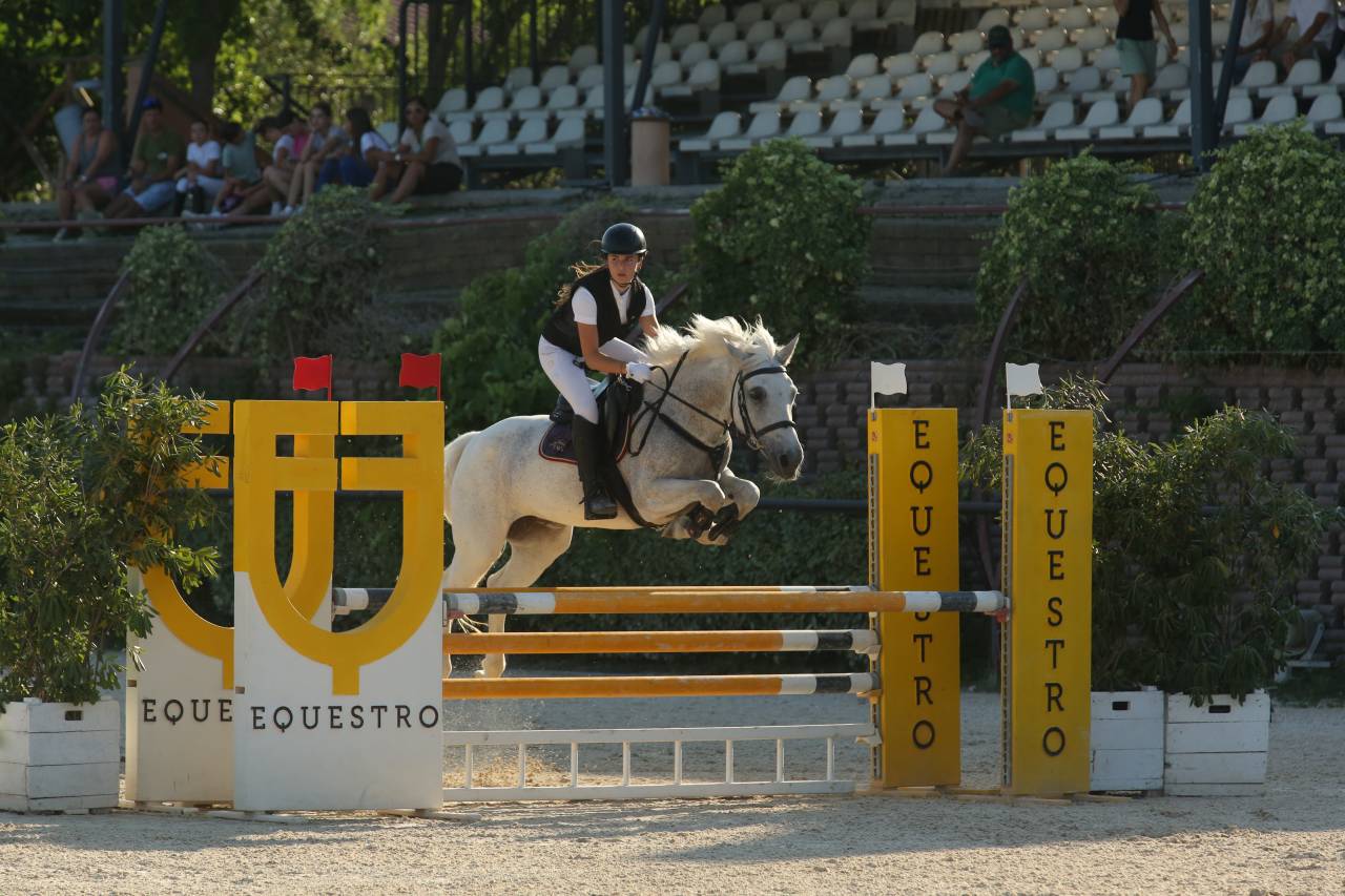 Pony Schoolmaster 