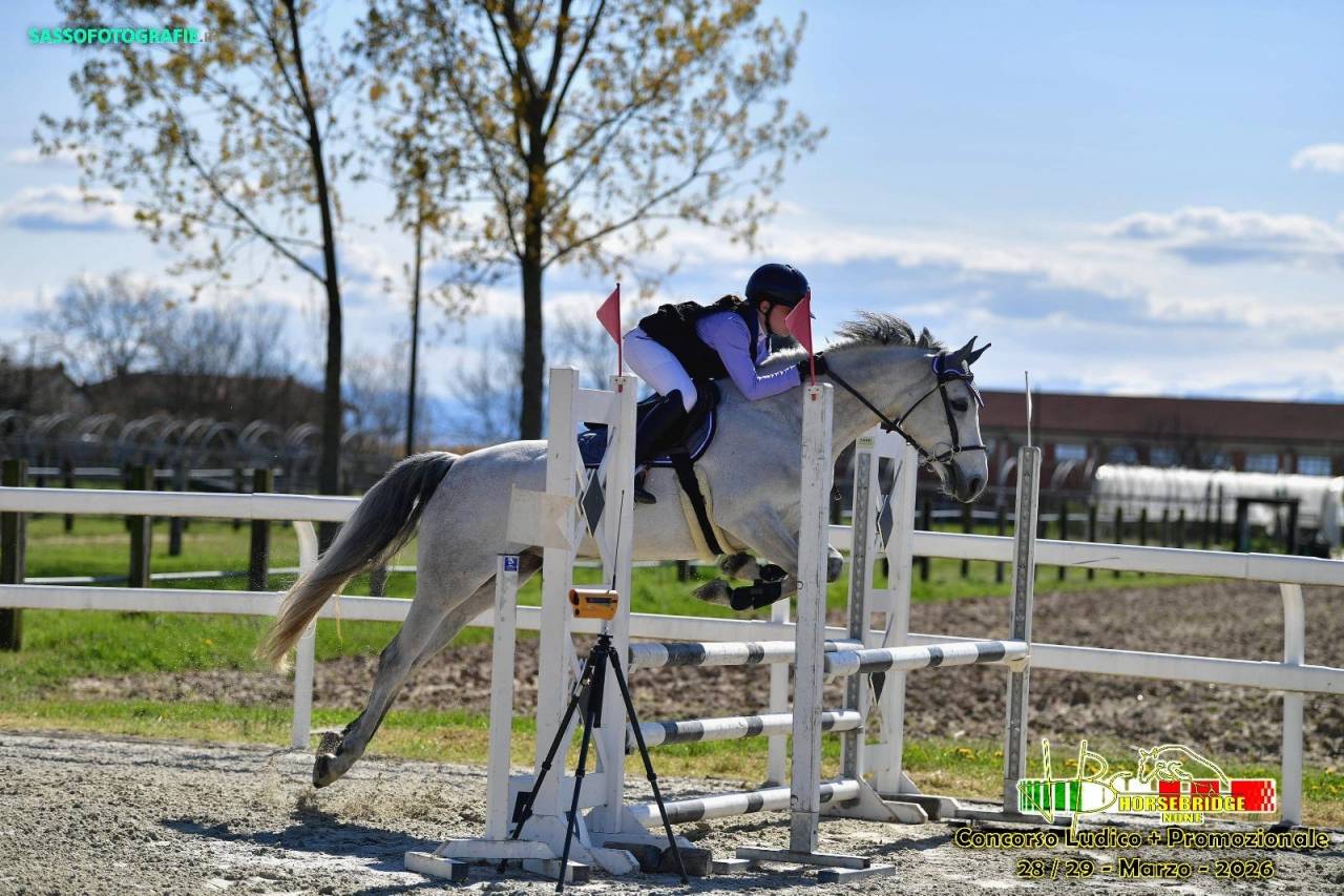 Pony da completo del 2019