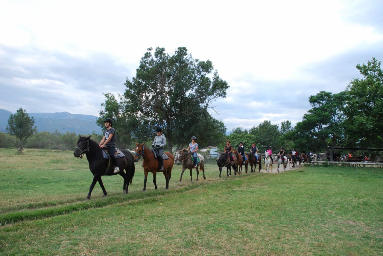 Centro ippico In vendita Pyr&eacute;n&eacute;es-Orientales