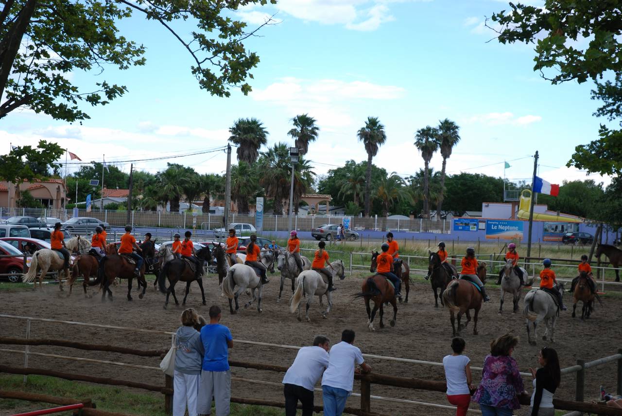 Centro ippico In vendita Pyr&eacute;n&eacute;es-Orientales