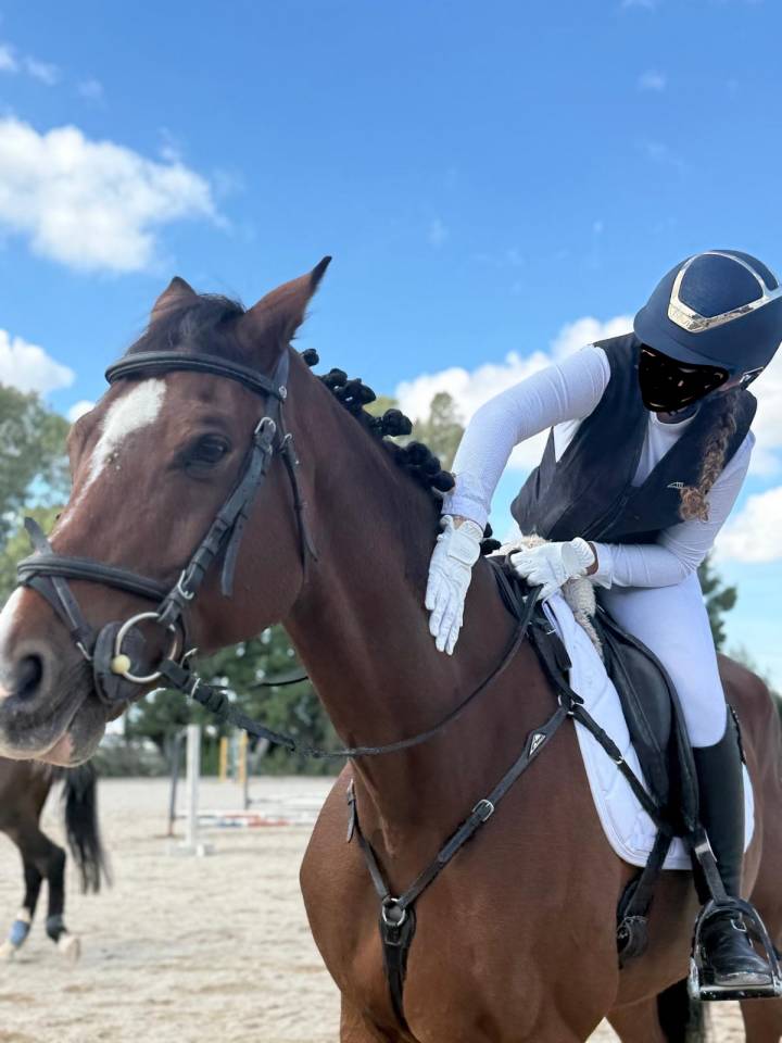 Vendo splendido Cavallo  