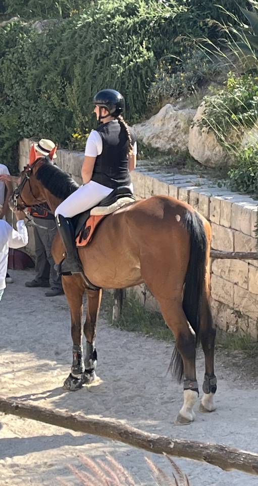 Vendo splendido Cavallo  