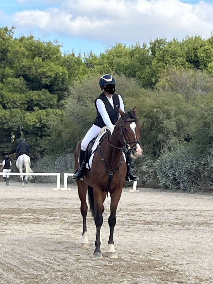 Vendo splendido Cavallo  