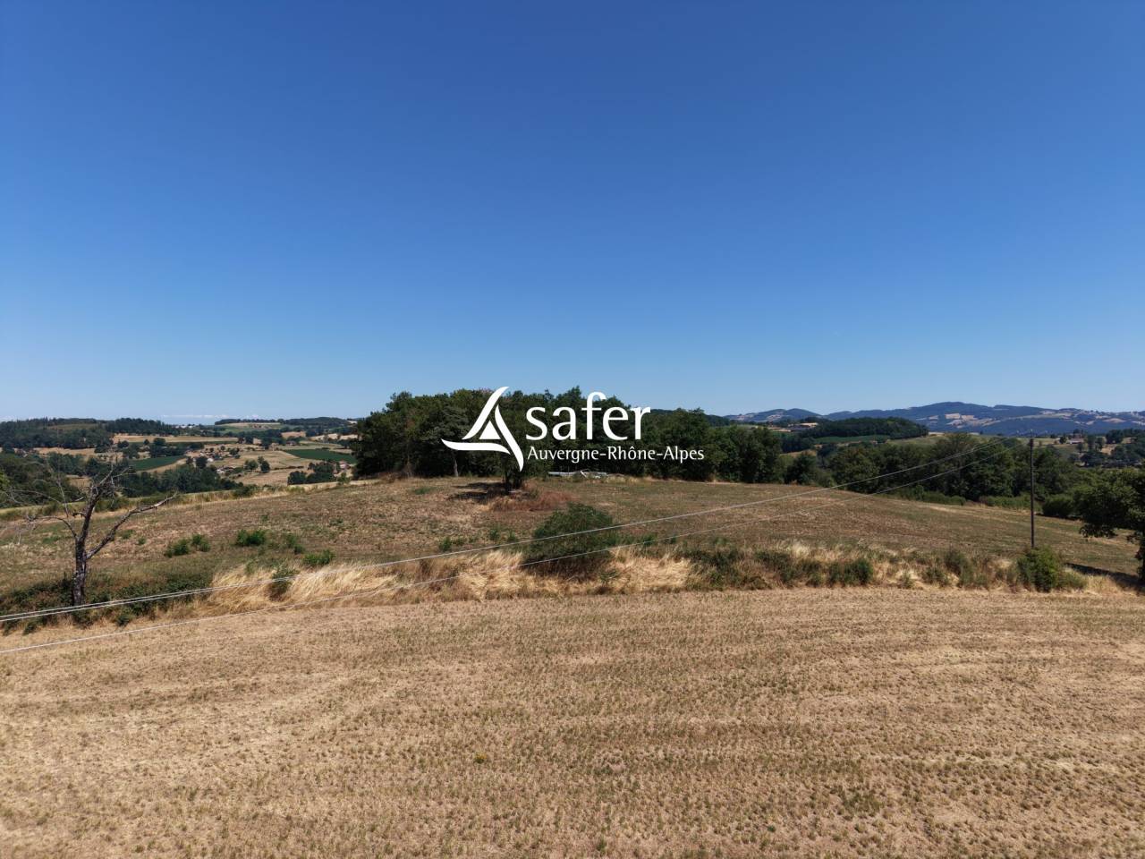 Azienda ovina In vendita Rh&ocirc;ne