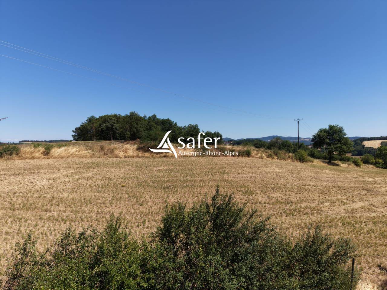 Azienda ovina In vendita Rh&ocirc;ne