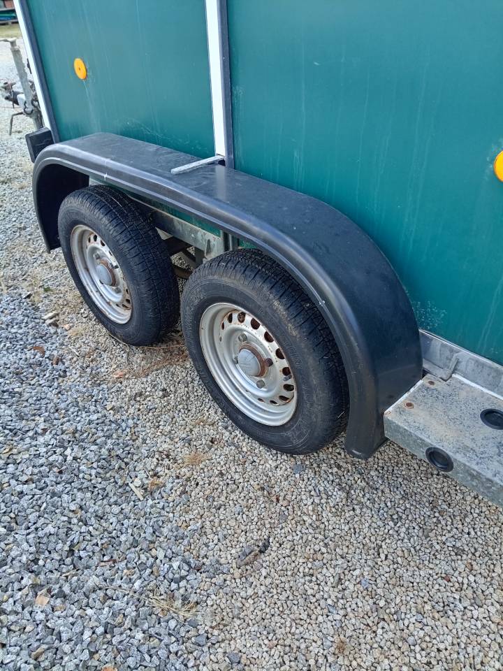 Trailer Ifor Williams HB401R 1,5 Cavalli 2003 Occasione