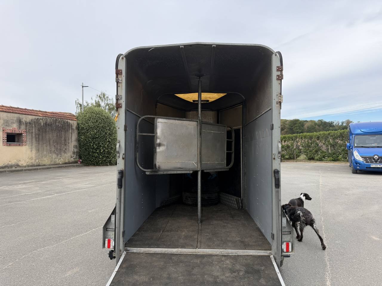 Trailer Ifor Williams HB505R 2 Cavalli 2000 Occasione