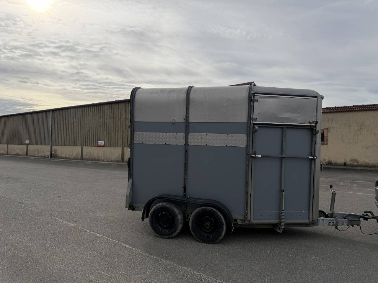 Trailer Ifor Williams HB505R 2 Cavalli 2000 Occasione