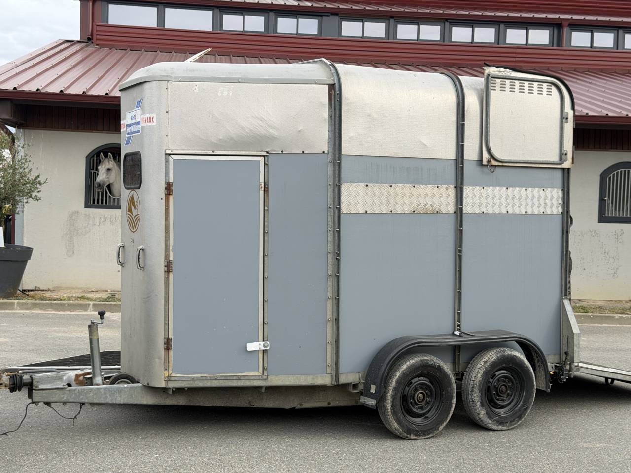 Trailer Ifor Williams HB505R 2 Cavalli 2000 Occasione