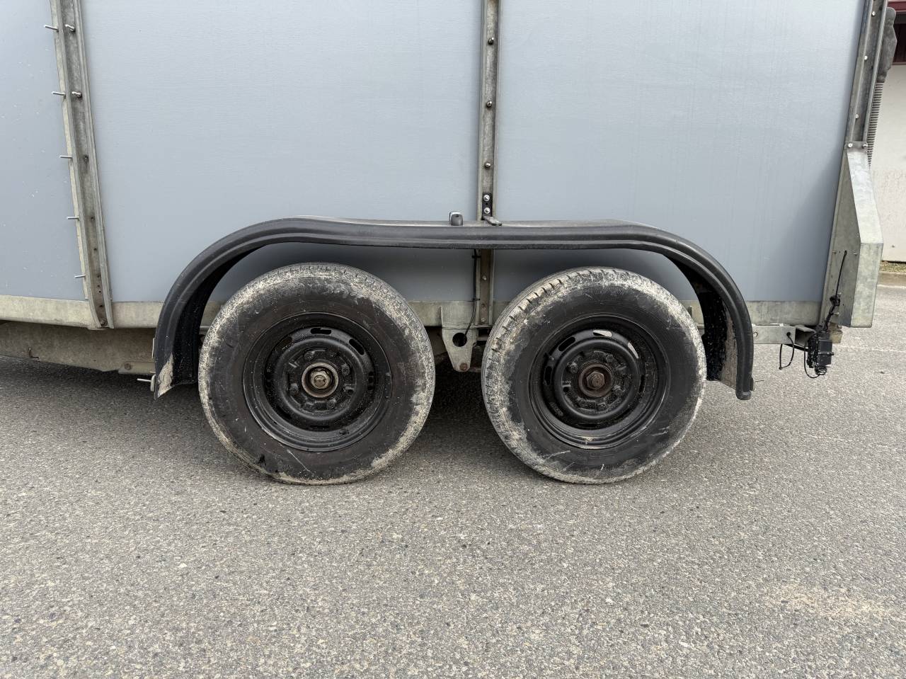 Trailer Ifor Williams HB505R 2 Cavalli 2000 Occasione