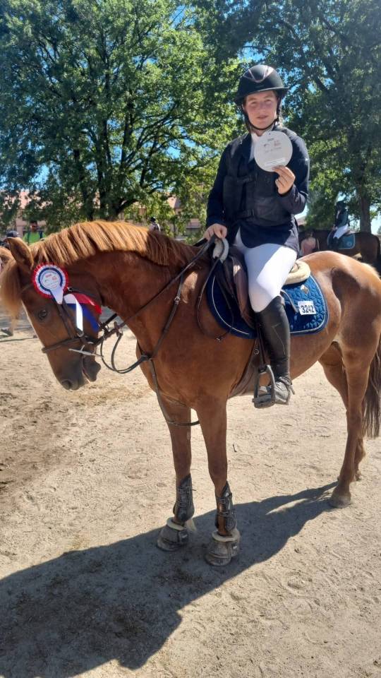 Cavalla New Forest In vendita 2016 Sauro ,  Balentino de la Treille